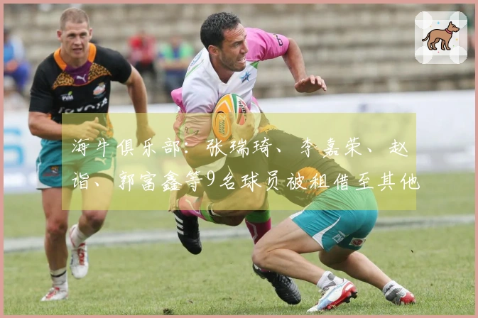 海牛俱乐部：张瑞琦、李嘉荣、赵诣、郭富鑫等9名球员被租借至其他球队